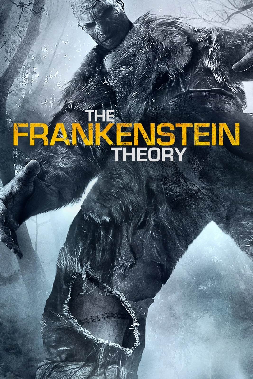 The Frankenstein Theory (2013) DVD – Starring Heather Stephens